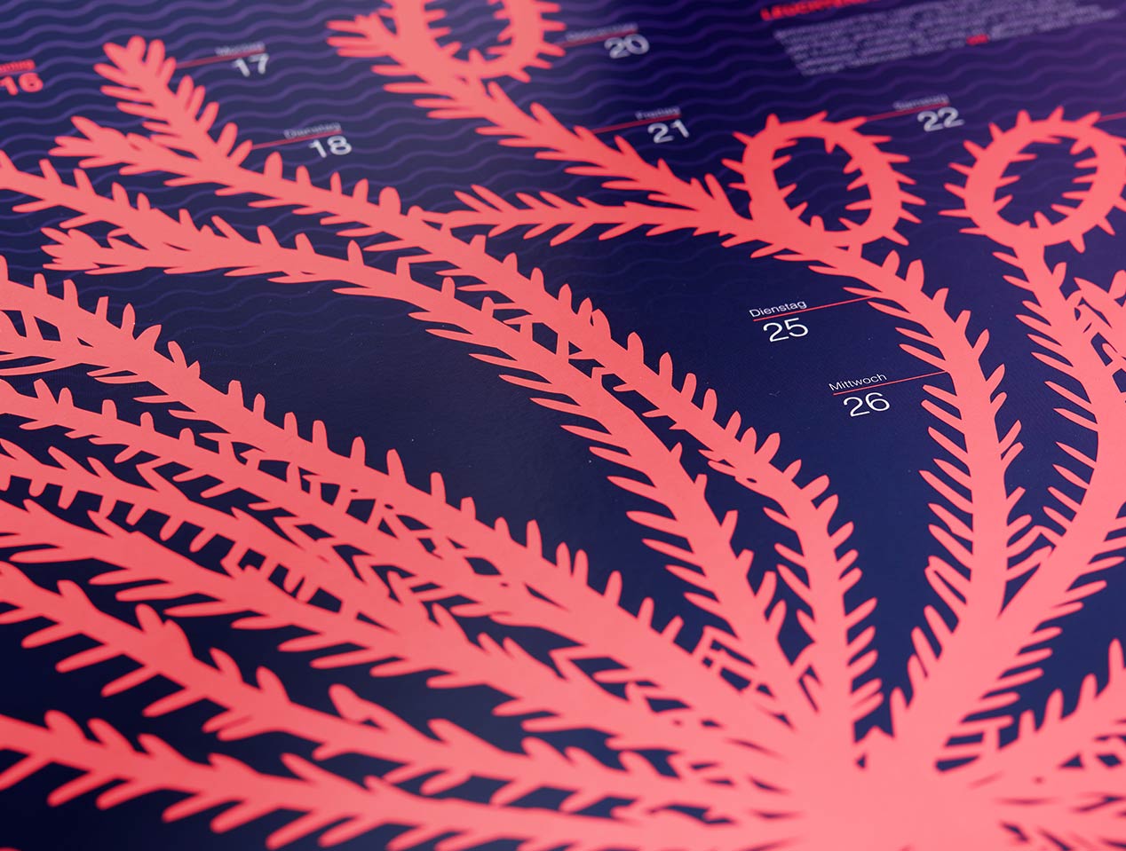 Microsite_2025_Detail_Feb02