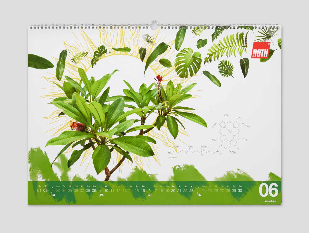 Microsite_Detailaufnahmen-2019_Juni-01