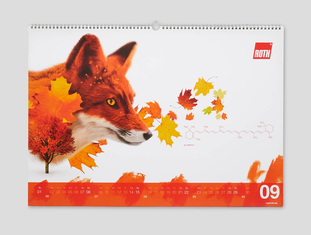 Microsite_Detailaufnahmen-2019_September