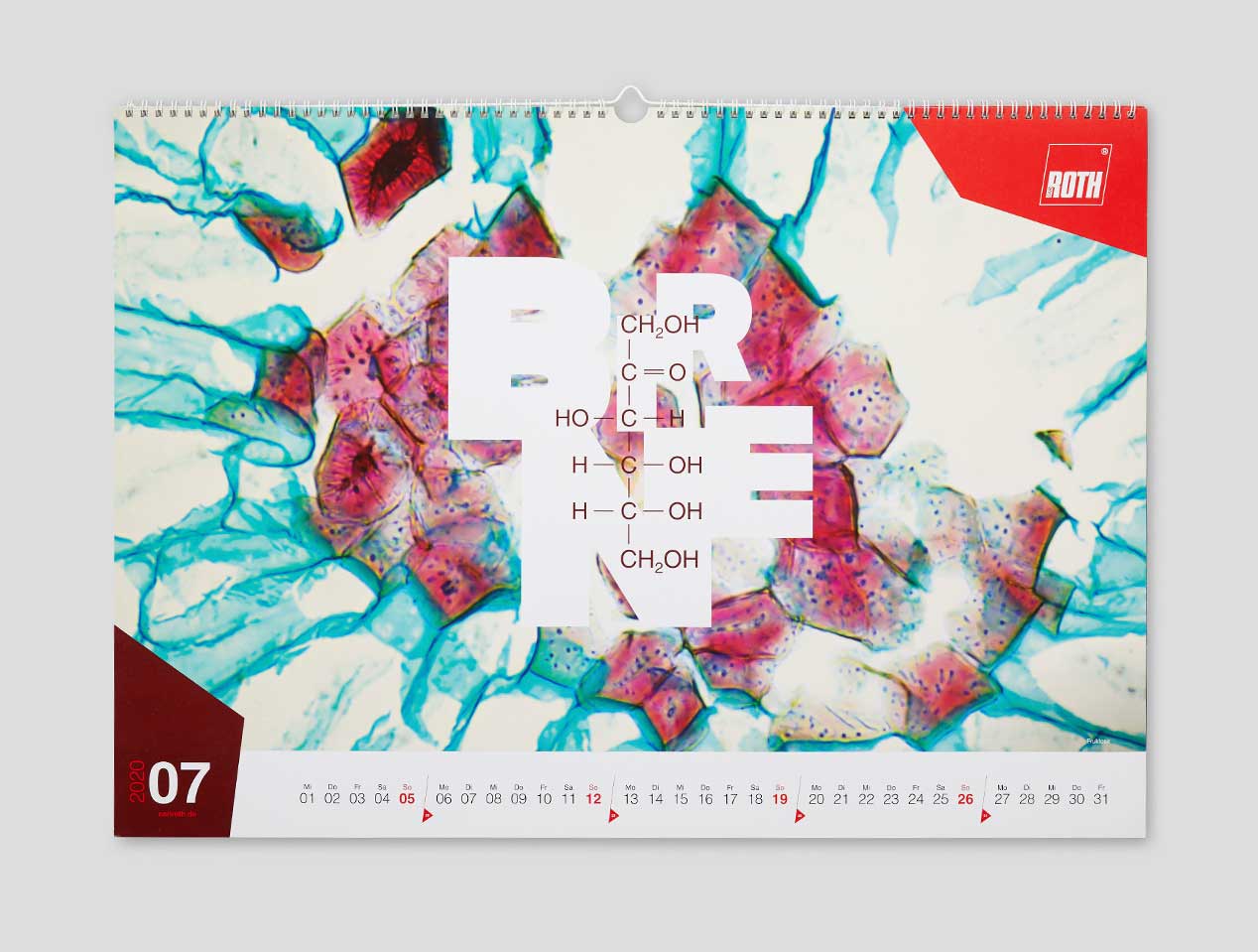Microsite_Detailaufnahmen-2020_Juli-01