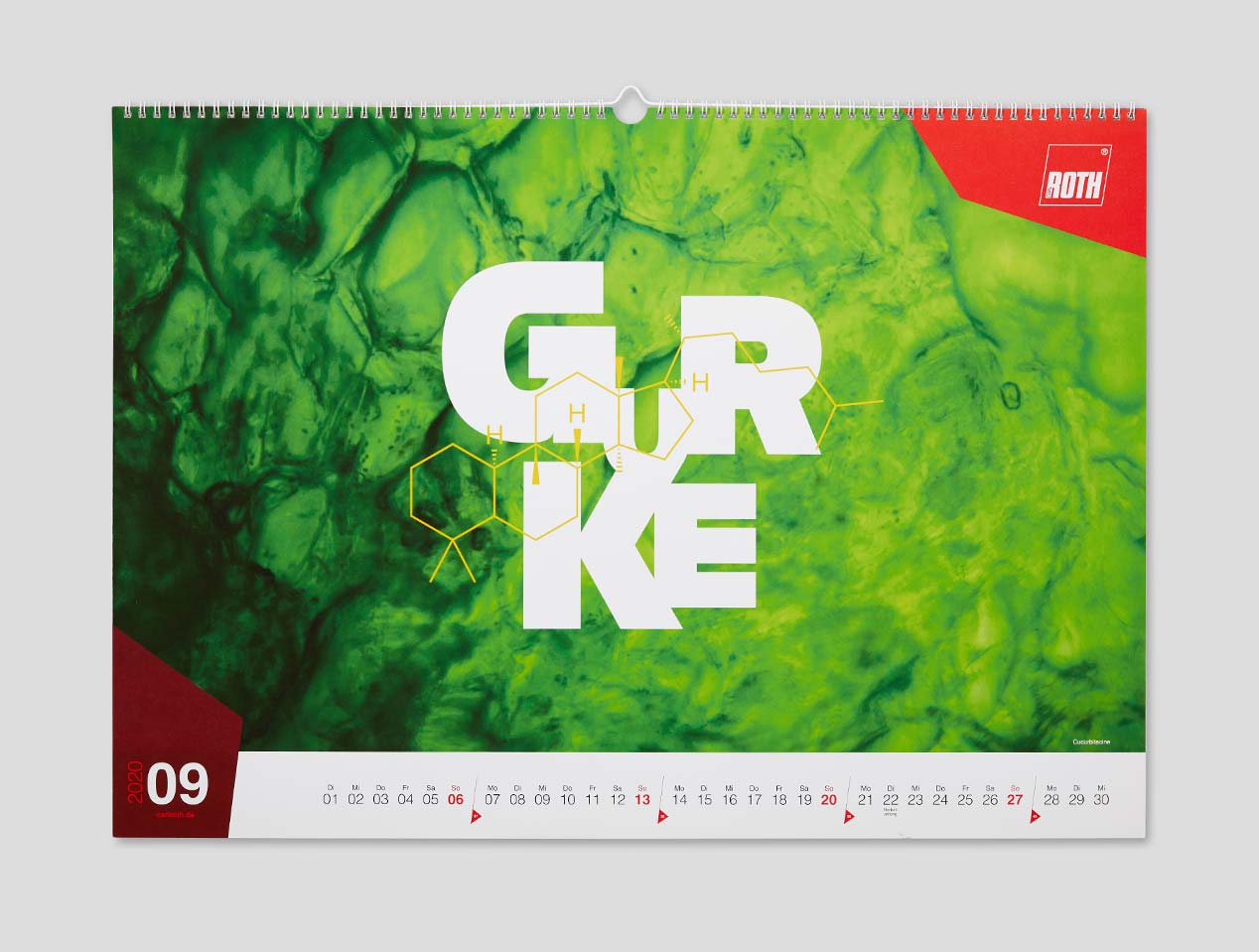 Microsite_Detailaufnahmen-2020_September-01