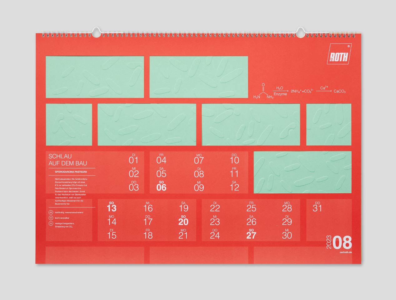 Microsite_Detailaufnahmen-2023_Aug02