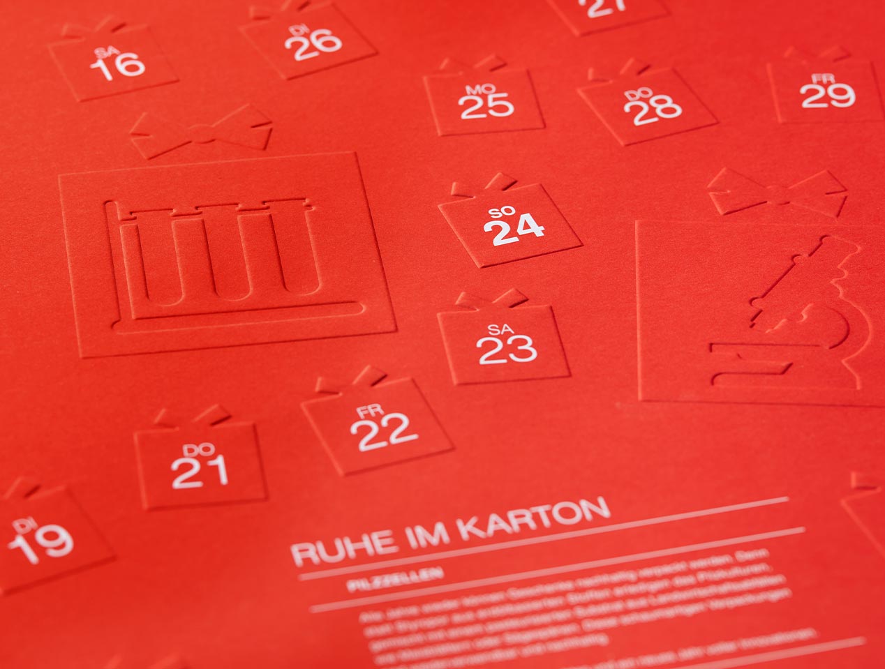 Microsite_Detailaufnahmen-2023_Dez02