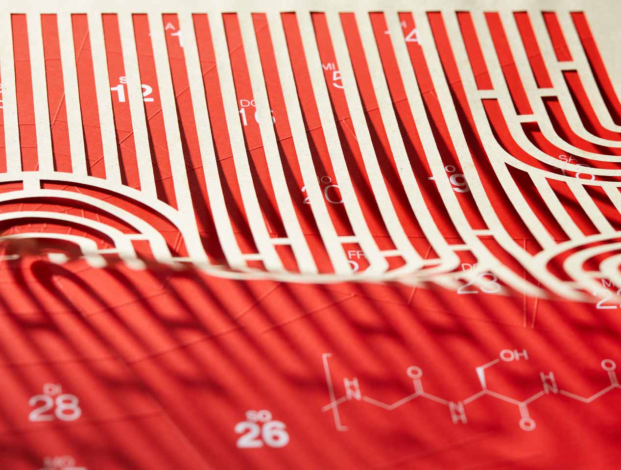 Microsite_Detailaufnahmen-2023_Feb03