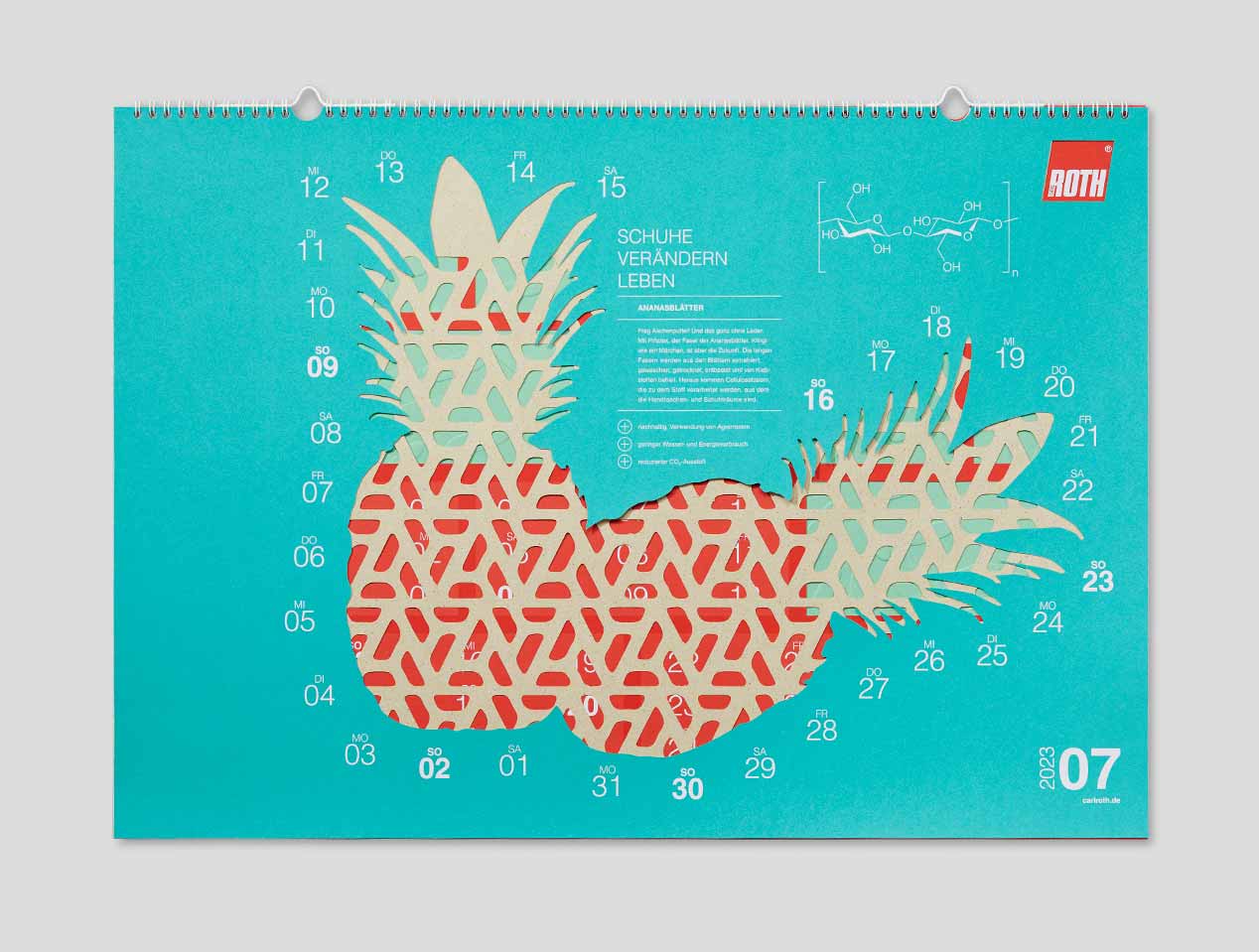 Microsite_Detailaufnahmen-2023_Juli02