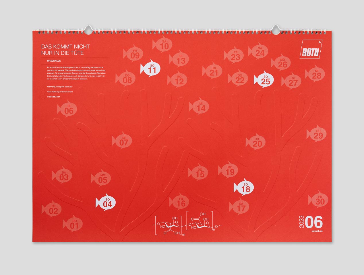 Microsite_Detailaufnahmen-2023_Juni
