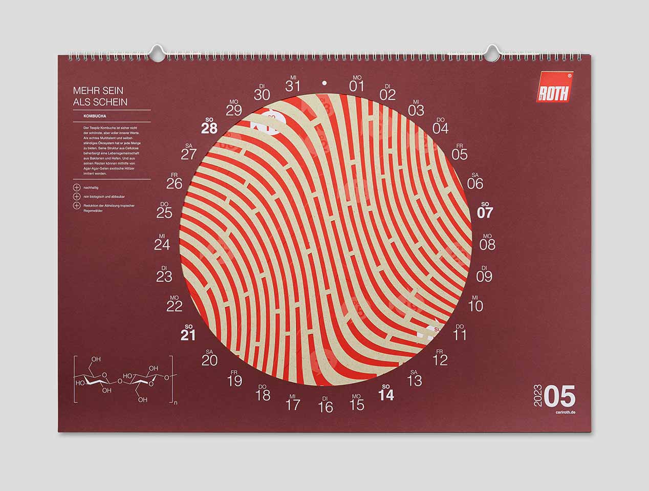 Microsite_Detailaufnahmen-2023_Mai
