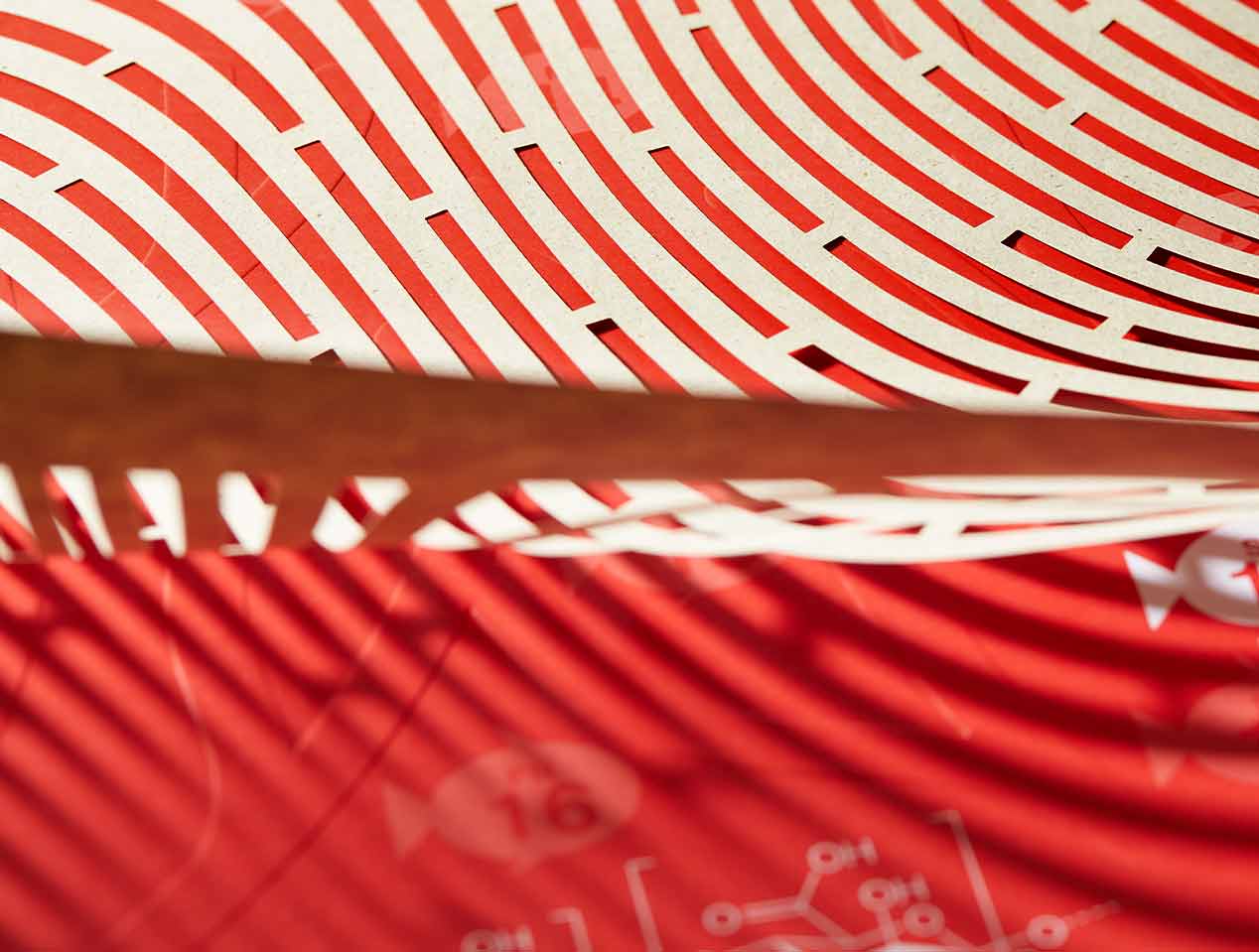 Microsite_Detailaufnahmen-2023_Mai03