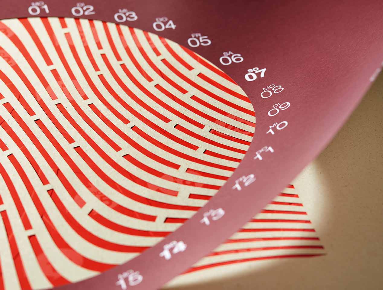 Microsite_Detailaufnahmen-2023_Mai04