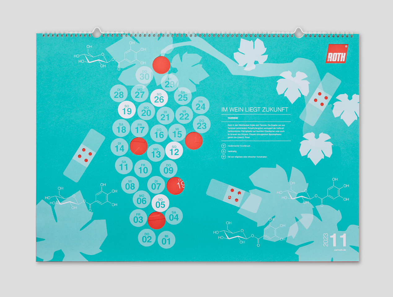 Microsite_Detailaufnahmen-2023_Nov