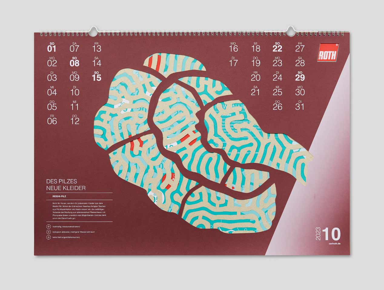 Microsite_Detailaufnahmen-2023_Okt