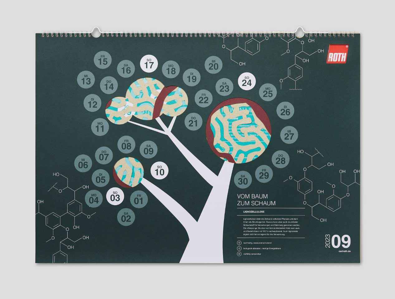 Microsite_Detailaufnahmen-2023_Sept
