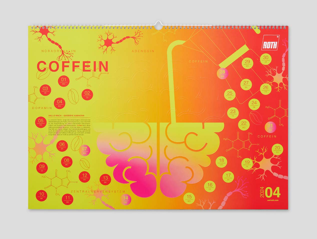Microsite_Detailaufnahmen-2024_April01