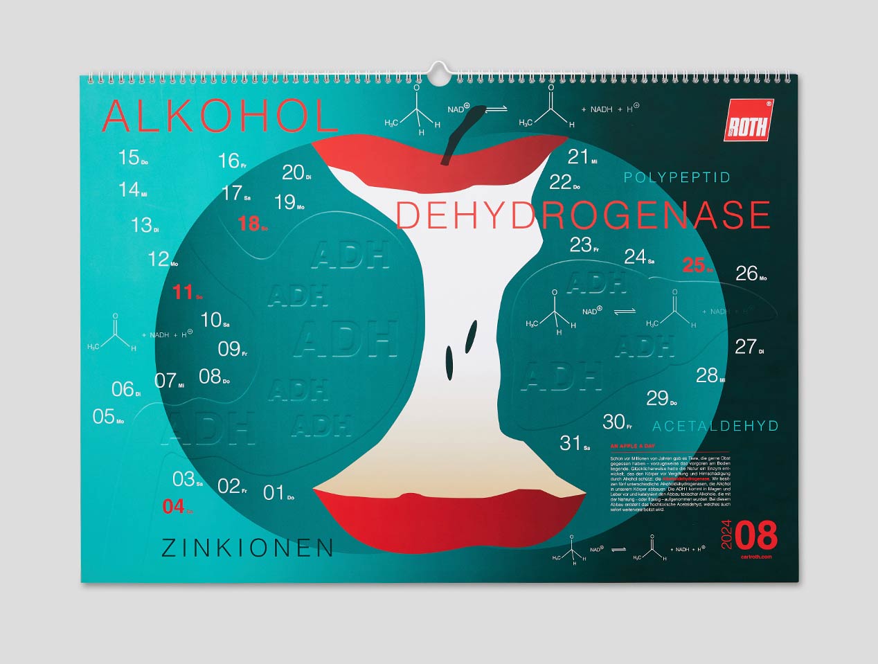 Microsite_Detailaufnahmen-2024_Aug01