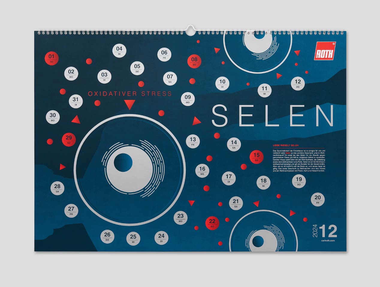 Microsite_Detailaufnahmen-2024_Dez01