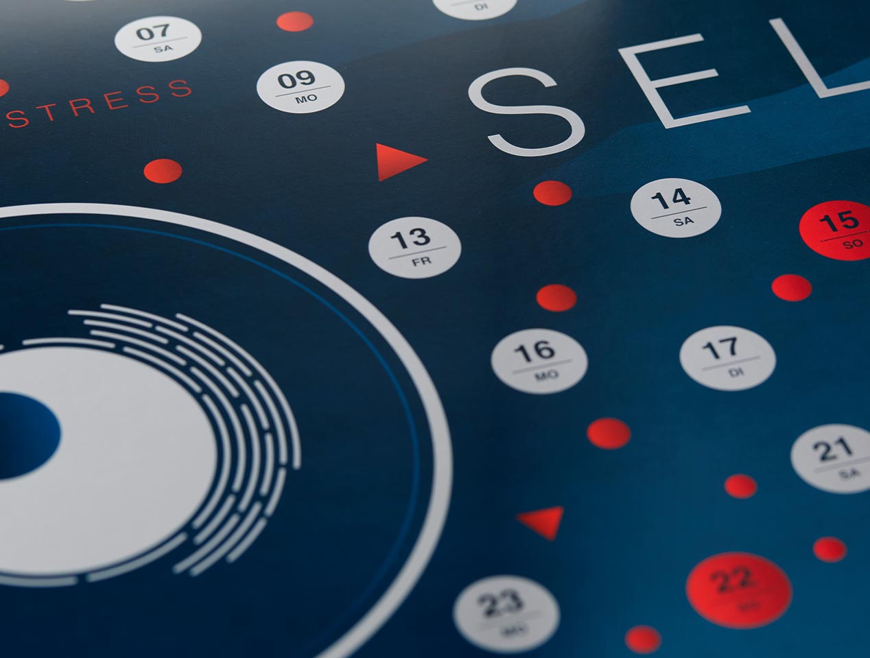 Microsite_Detailaufnahmen-2024_Dez02