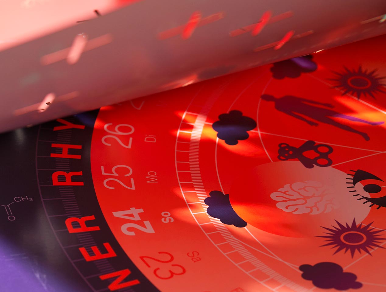 Microsite_Detailaufnahmen-2024_Feb02