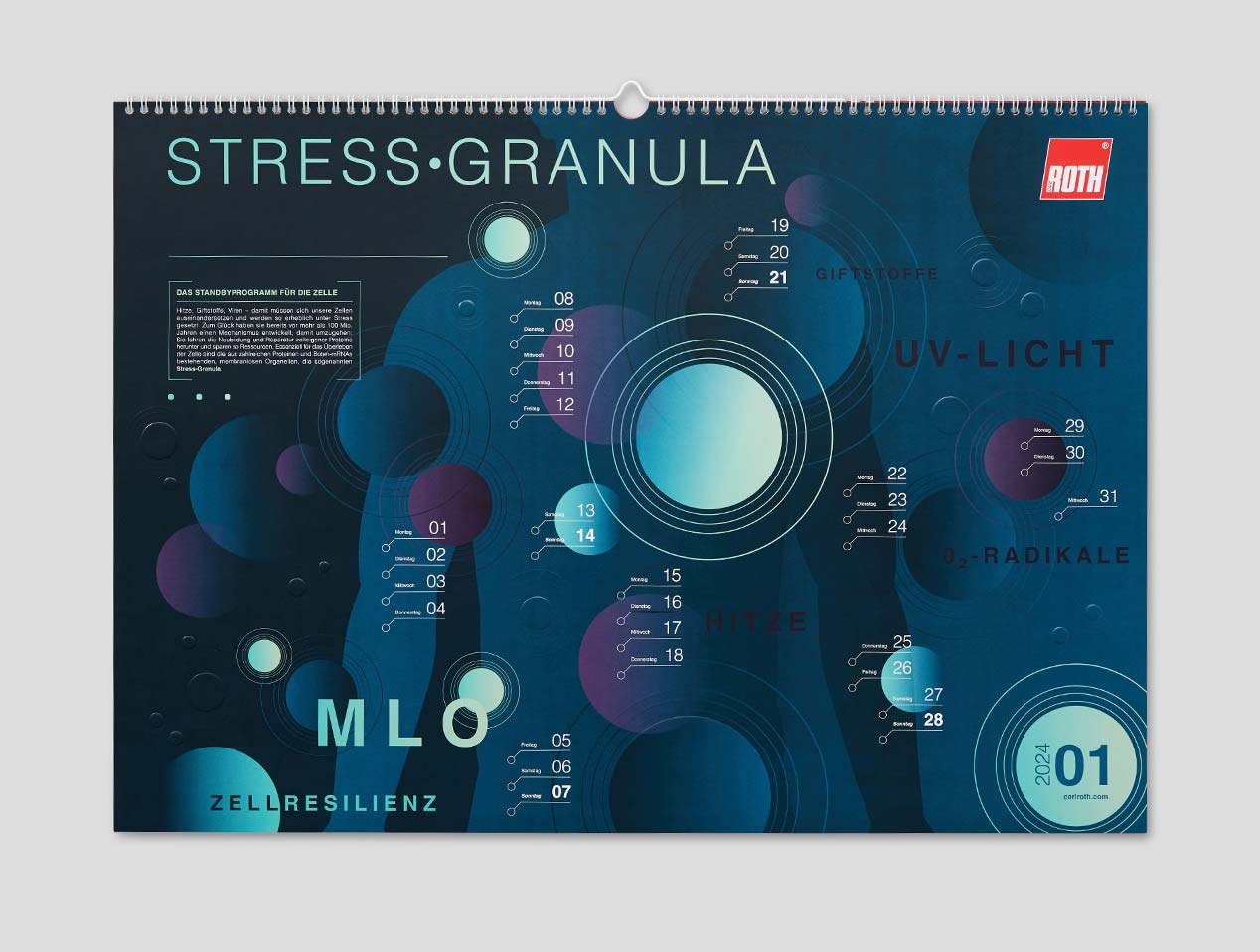 Microsite_Detailaufnahmen-2024_Jan01