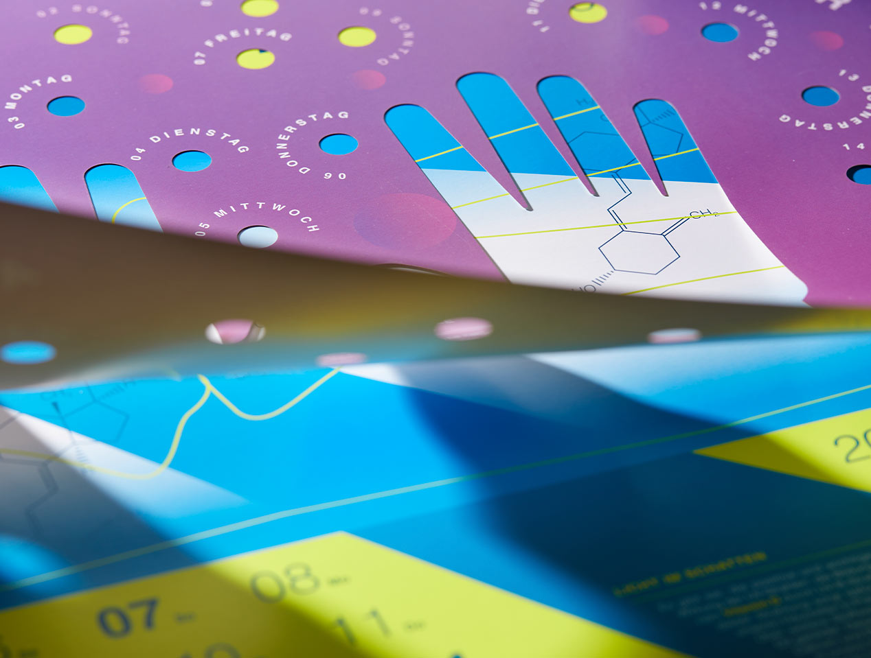 Microsite_Detailaufnahmen-2024_Juni02