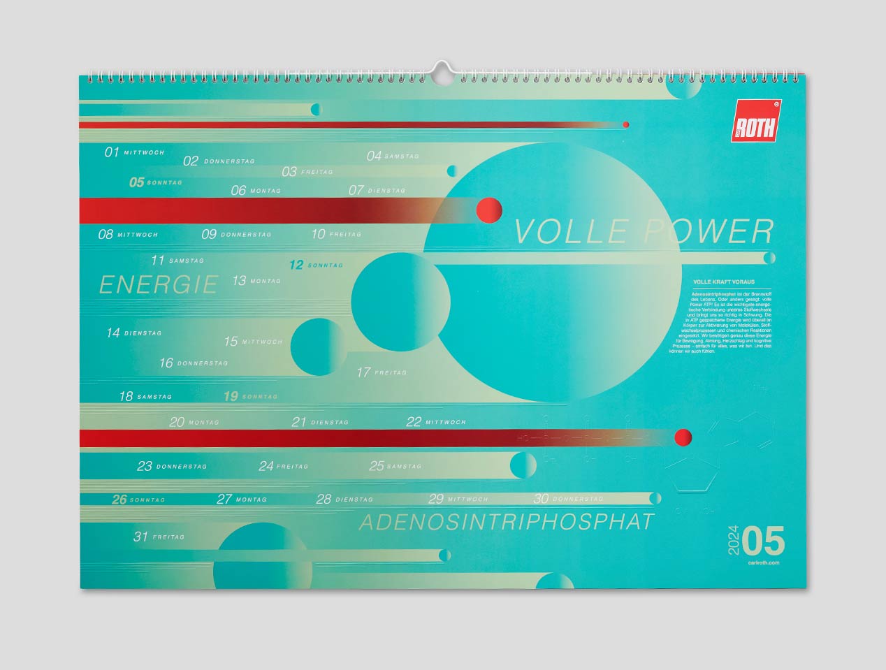 Microsite_Detailaufnahmen-2024_Mai01