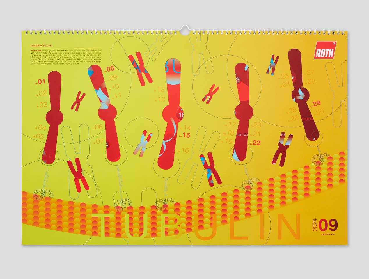 Microsite_Detailaufnahmen-2024_Sept01