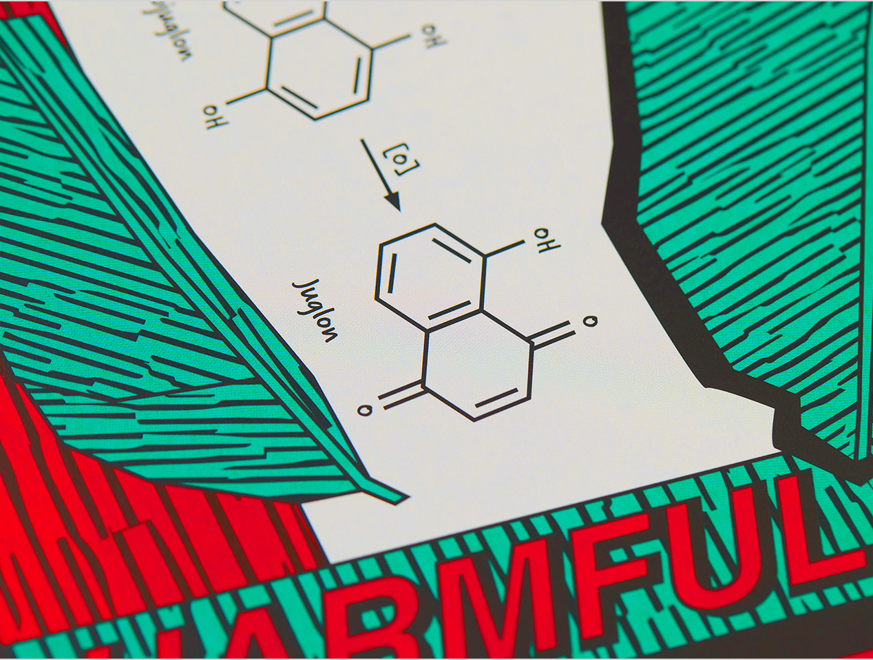 ROTH_Kalender_2026_08_August_B_klein