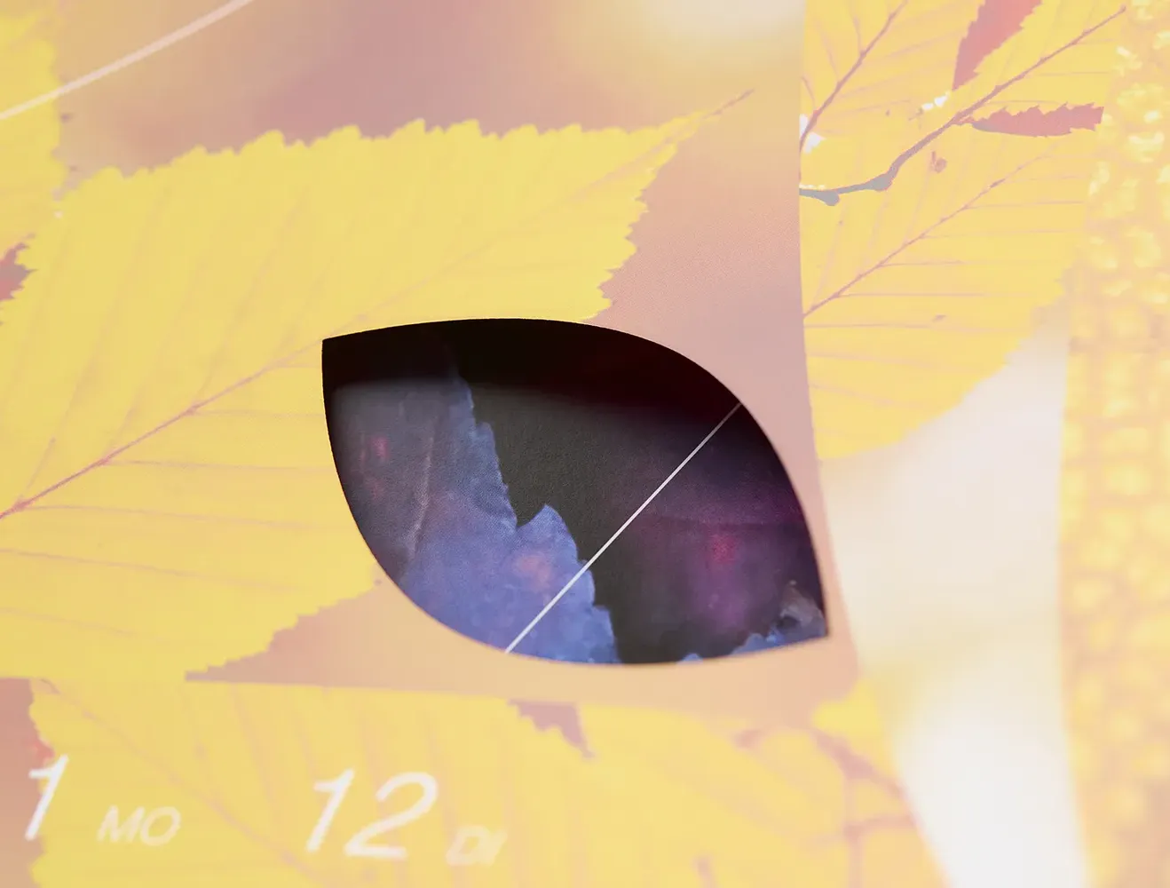 2027_Roth__Detail14